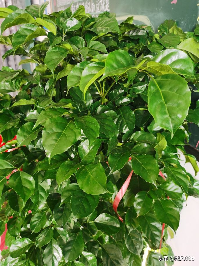 生命教育之殇~青少年自杀的思考