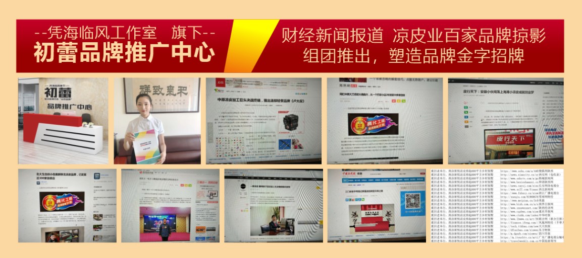 初蕾推广中心落地，系统助推凉皮业品牌闪亮登场