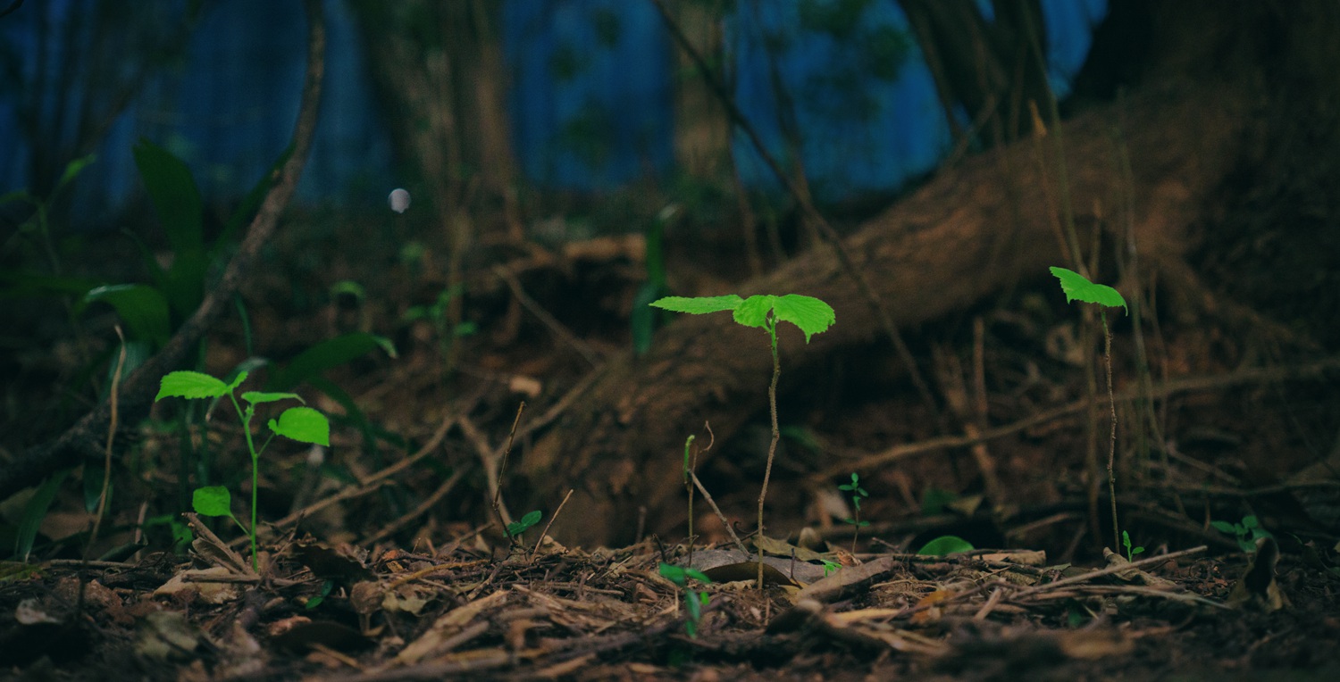 关于二手（这是个沉重而有趣的话题）