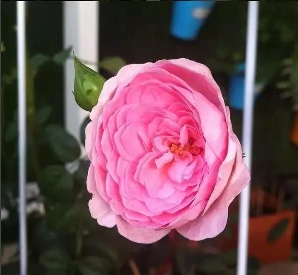 每天学习一点点女性小常识,每天学习一点点科普一下