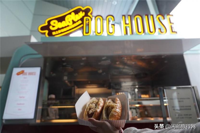 鹿儿岛大西洋游轮,海洋光谱号第三天到达鹿儿岛