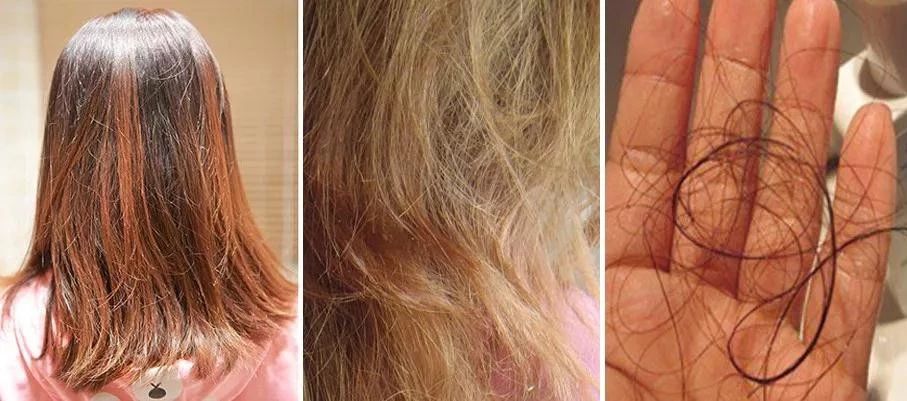 欧阳娜娜护发推荐,欧阳娜娜用什么洗发水护发