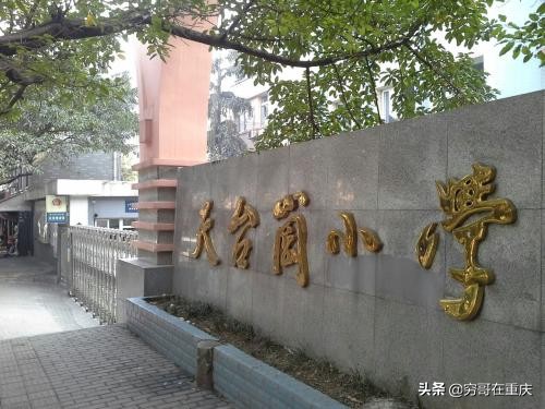 2021天台岗小学南湖校区招生,天台岗小学上海城招生