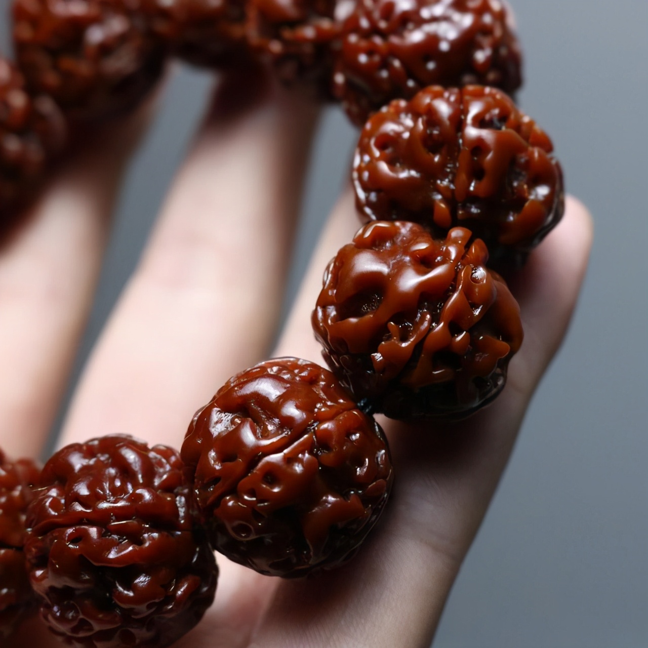 现在不玩金刚菩提了都玩什么,金刚菩提的基础知识