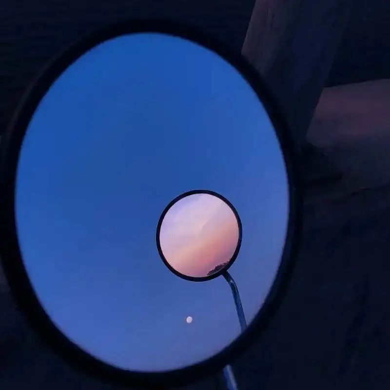 点赞他们的高光时刻,大家用手机拍出过什么好看的照片