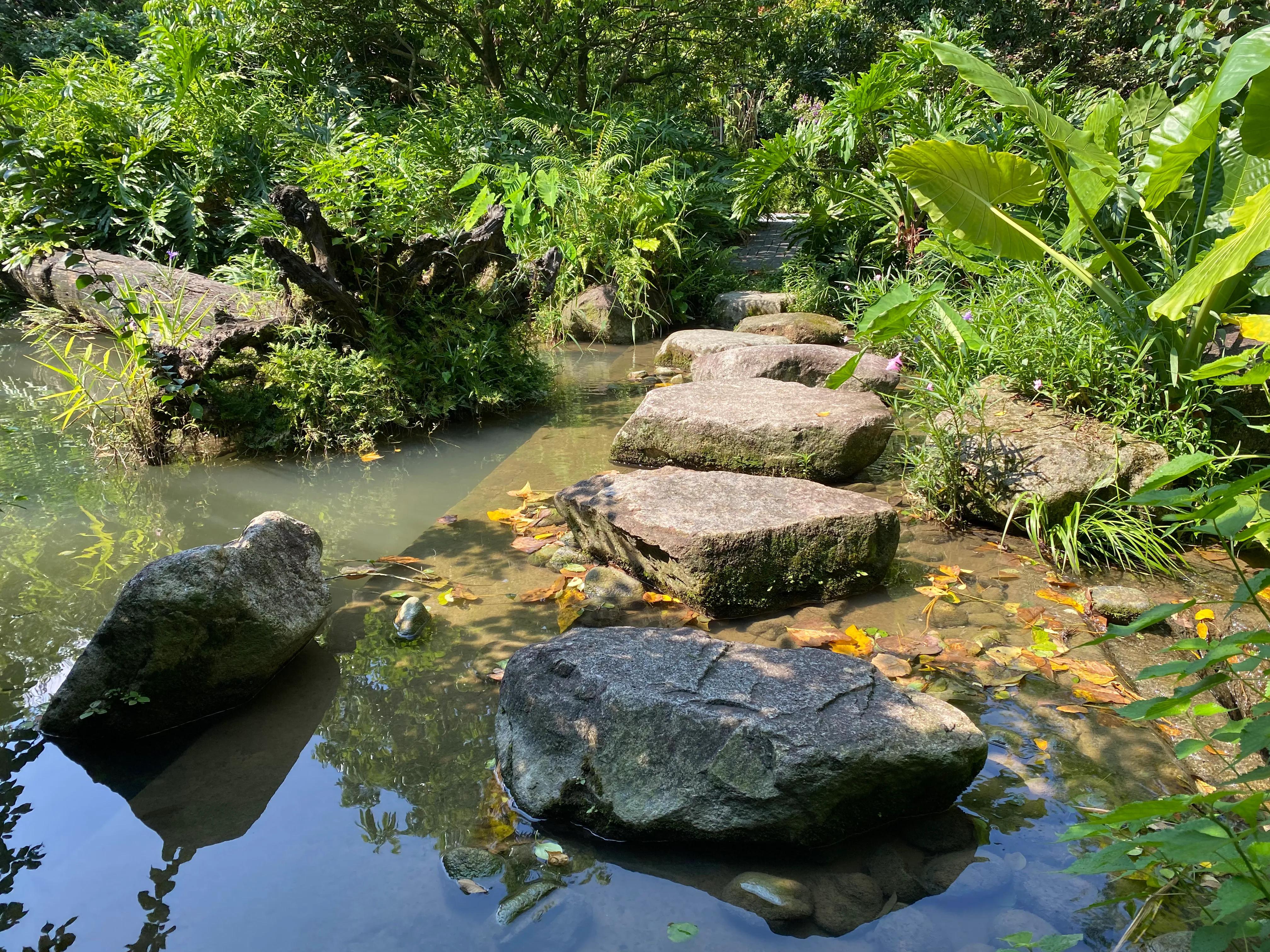 云浮新兴县六祖龙山温泉,六祖小镇龙山温泉
