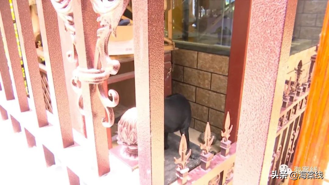 小男孩被狗追赶找爸爸原视频,小男孩遭大黑狗追