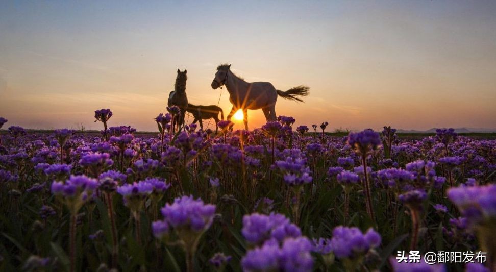 遇见美丽水乡,鄱阳鄱阳湖