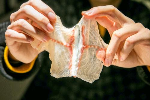 1块钱撸四盘！薄如蝉翼的蝴蝶鱼片，让你一口鲜掉眉毛！