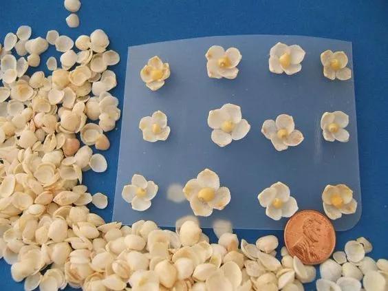 海边捡的贝壳可以做什么手工,贝壳创意手工种花