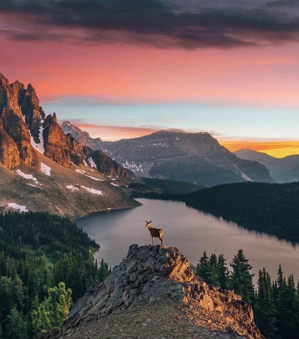 艺术摄影修图,艺术拍照修图