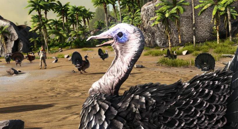 方舟生存进化国际服eve,方舟生存进化前期最应该干的事情