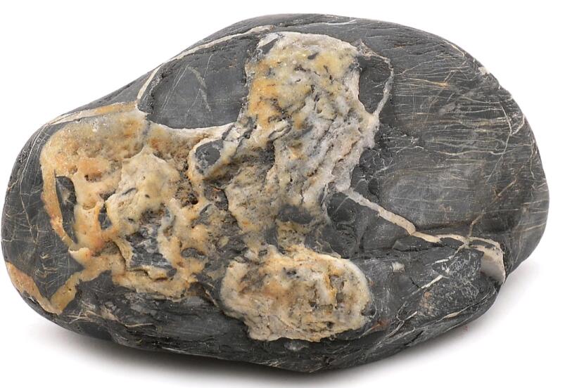 马来西亚吉隆坡大型艺术精品拍卖会一普通石头竟拍出700多万天价