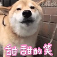 沭阳庆国庆迎中秋,沭阳迎国庆