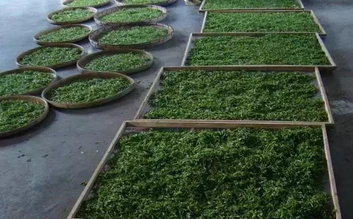 下一站联合电子,下一站同行