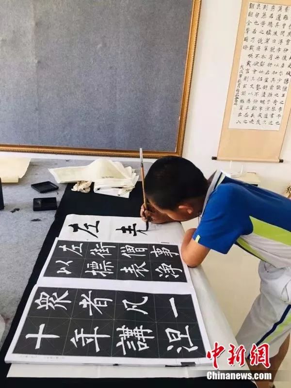 9岁养猪老手！男孩做作业顺手接生了7头猪崽