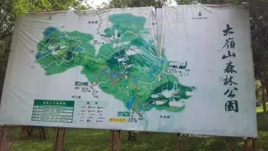 在年岁即将交替的时光里「这一年大岭山都发生了什么大事」