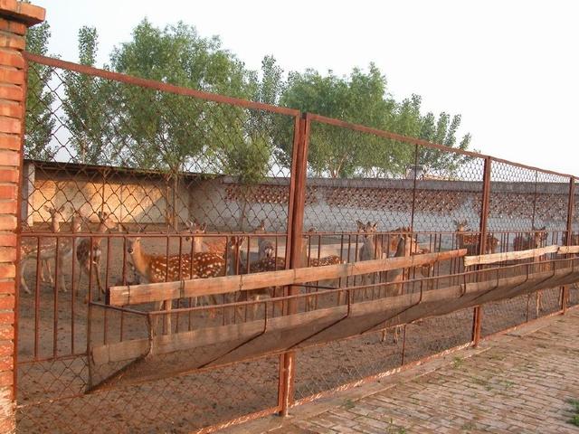 娌冲崡鐩镐翰灏忎紮褰╃ぜ澶珮,娌冲崡缁撳褰╃ぜ涓轰粈涔堥偅涔堥珮