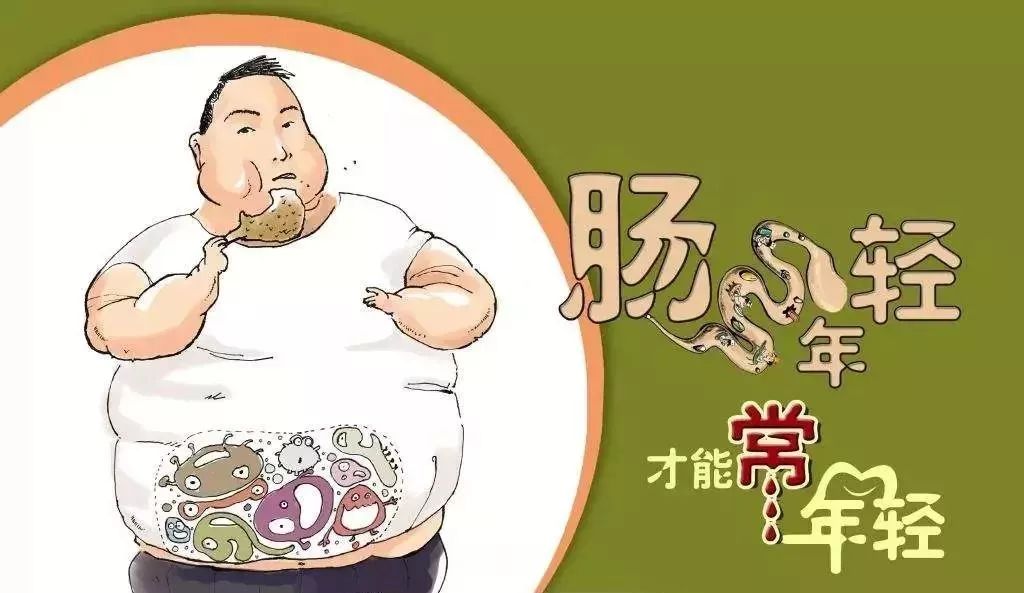 疫情蔓延，免疫力提高是关键！益生菌的秘密你应该要记住