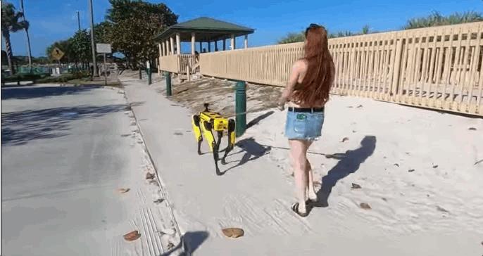 雷军发布会翻车名场面机器狗,铁蛋发布会雷军