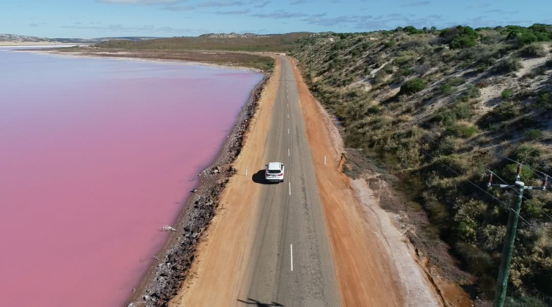 这地方是男人天堂,我们的大宝马也怕了