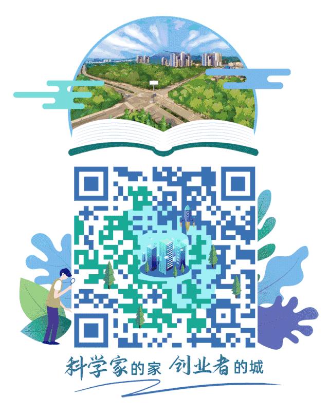 学校开设的各种体育特色课程,高端的小学学校有哪些体育课程