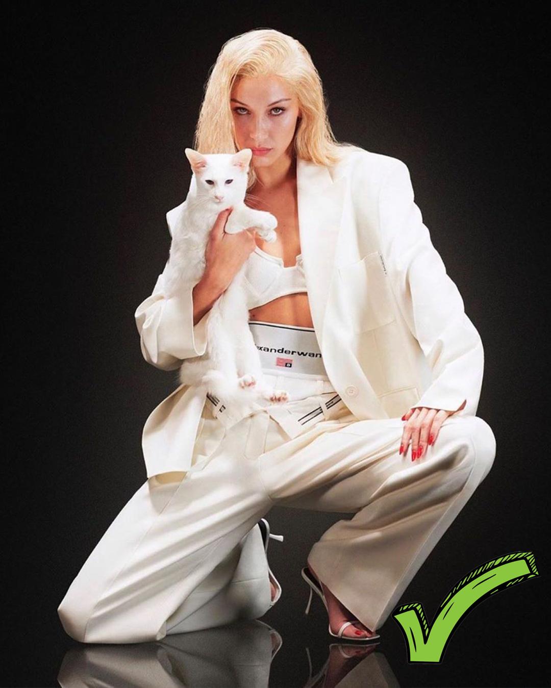 明星都穿什么运动内衣,女明星运动内衣推荐