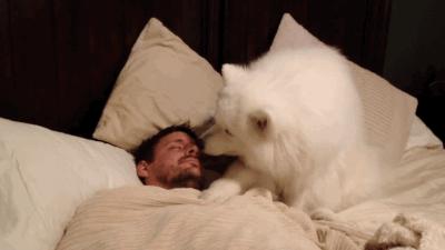 a little shy缈昏瘧 (little shy缈昏瘧)