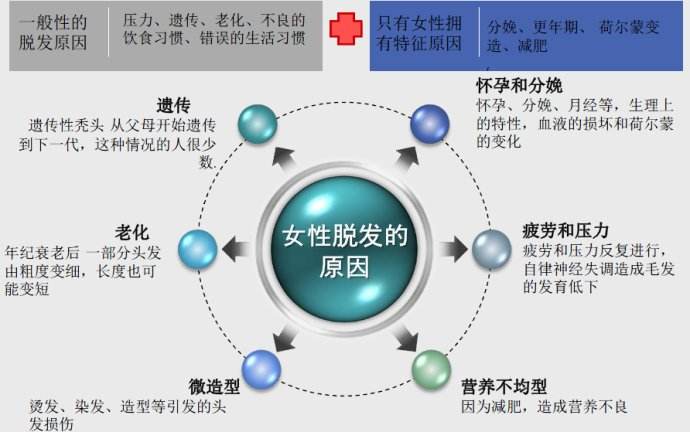 为什么年纪轻轻就脱发?第2个原因最关键!中西医治疗怎么来结合