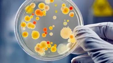 关于化妆品标签应该包含哪些内容,化妆品标签和产品的区别