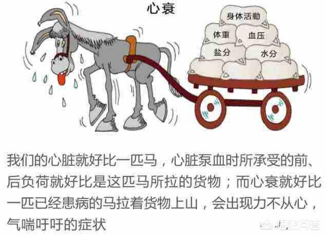 心衰的金三角指哪三类药物,心衰最后一个坎怎么治