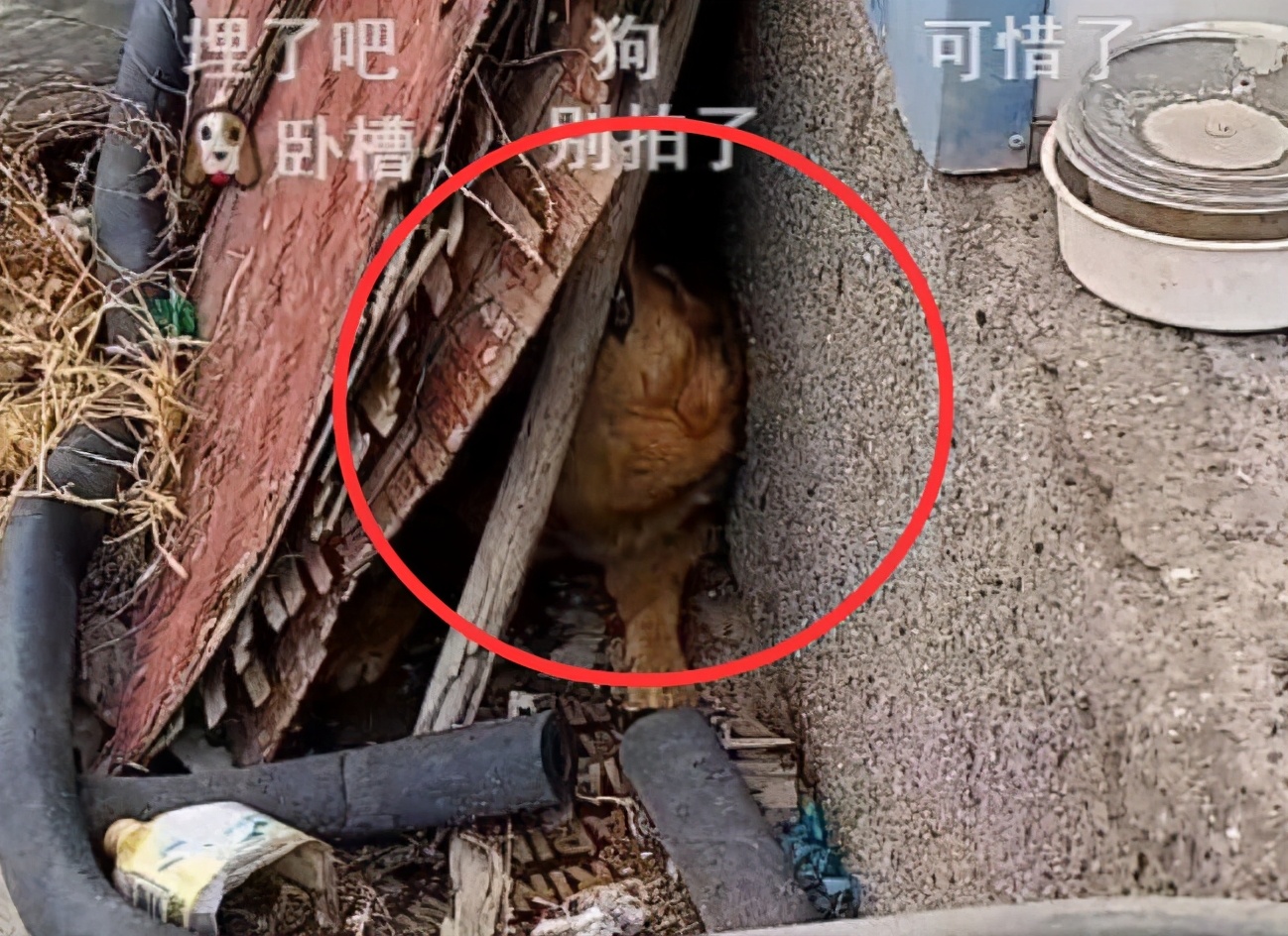 斗鱼主播发生重大事故,斗鱼主播误闯废弃工厂