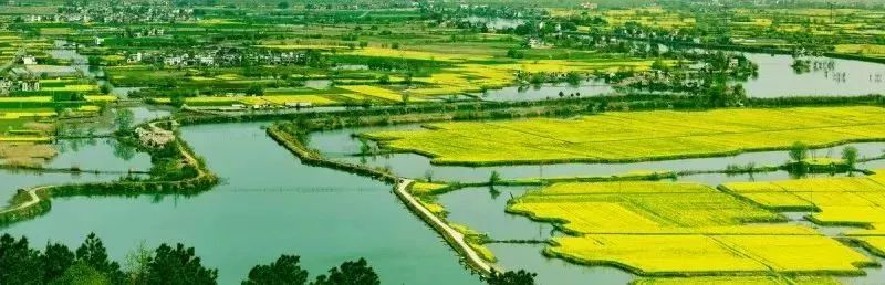 芜湖上榜中国最宜居城市,为啥芜湖现在发展得这么好