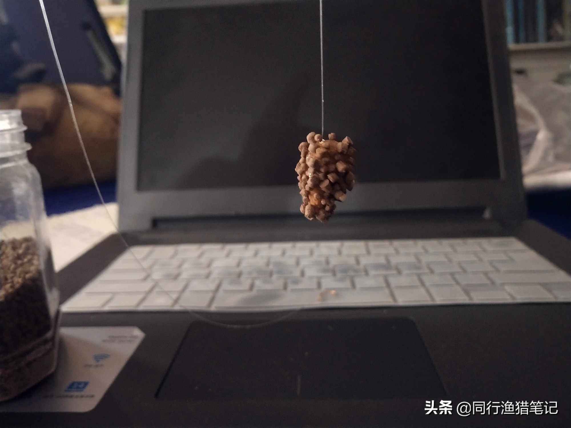 黑坑鱼饵最佳配方,黑坑皮筋颗粒钓滑口鲤鱼