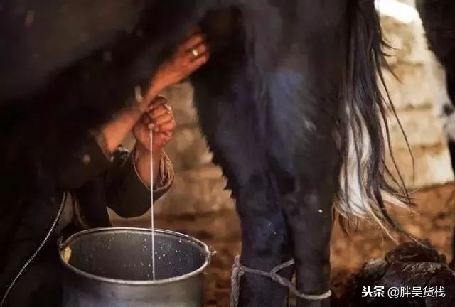 营养成分比较高的牛奶,比较接近母乳的牛奶