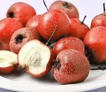 怀孕期间有哪些食物是不能吃的,怀孕期间什么食物不能吃