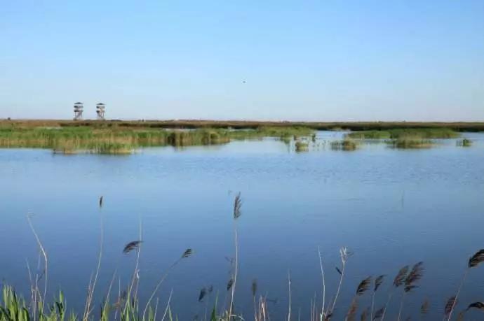 冬季美景塞罕坝,冬季旅游景点推荐唐山