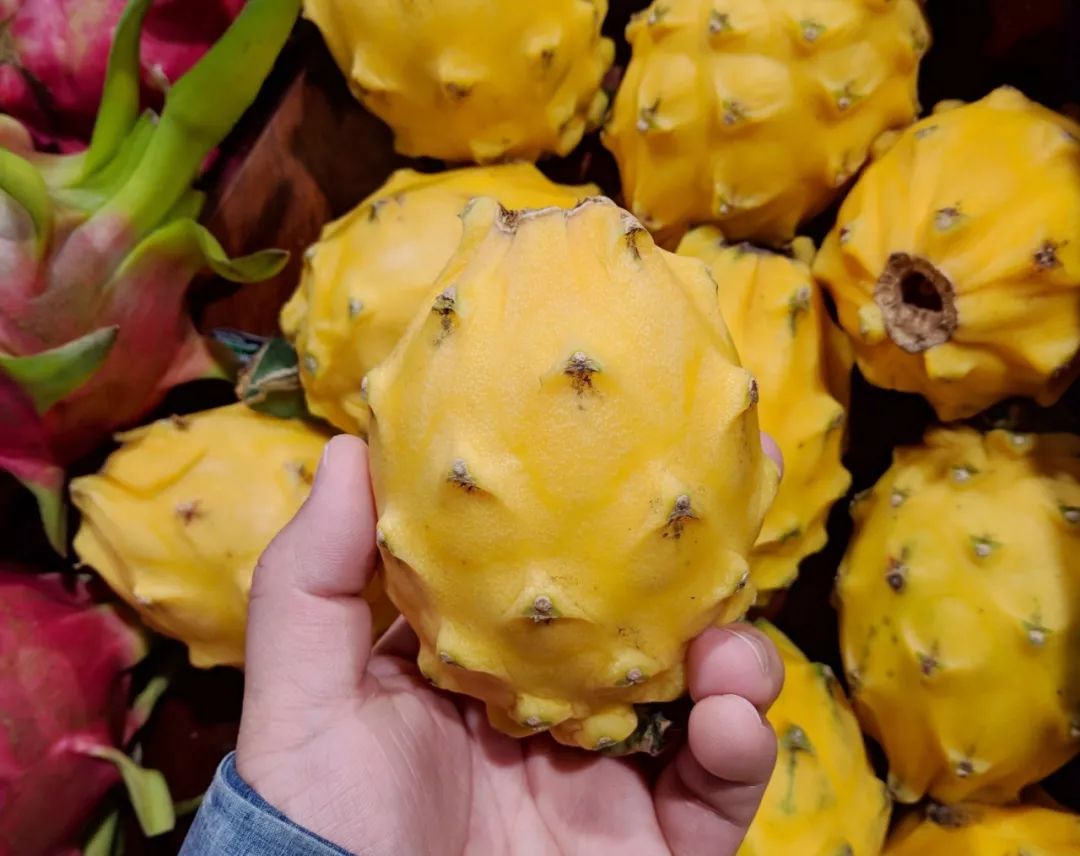 中国哪些水果在美国买不到？美国又有哪些水果中国没有？