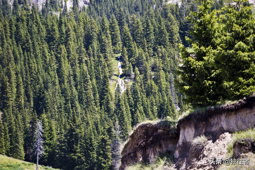 伊犁第一美景果子沟,带你看新疆伊犁果子沟风景