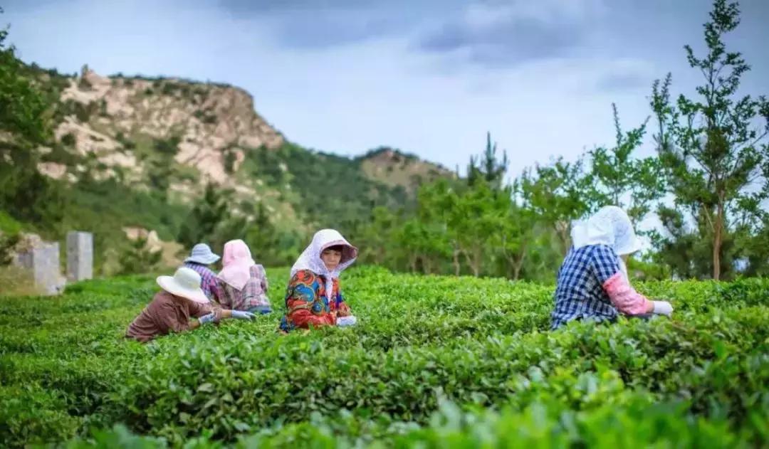 前方高能预警会怎样,前方高能预警提示