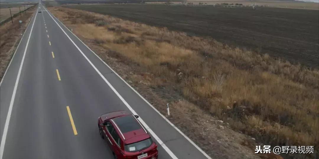 敖鲁古雅原始部落驯鹿喂草,敖鲁古雅驯鹿旅行