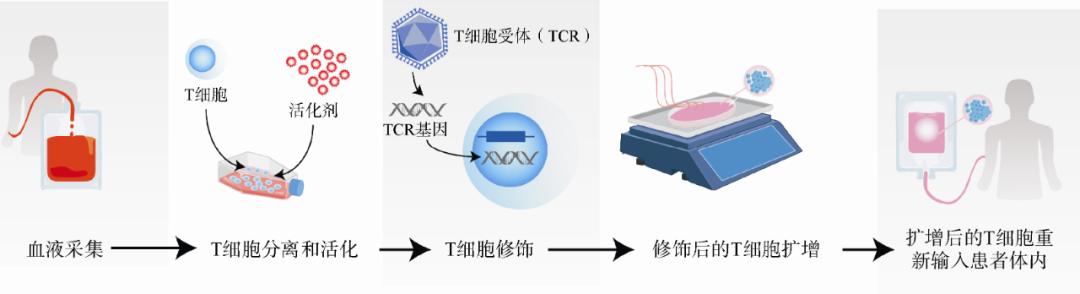 免疫治疗癌症最新突破百度,肺癌免疫治疗癌症最新突破