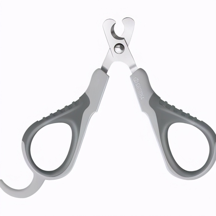 养猫必备物品需要多少钱,养猫必备物品羊奶粉