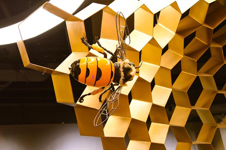 玩转厦门夜生活,厦门夜生活哪里好玩