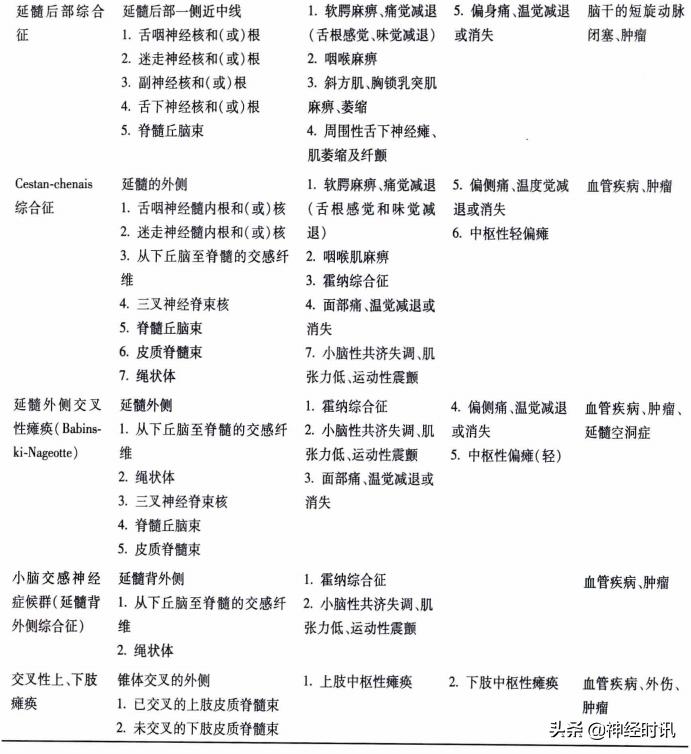 脑干解剖,脑干神经解剖