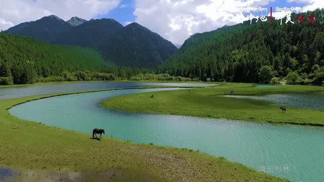 拉林铁路有哪些高铁站,拉林高铁美景