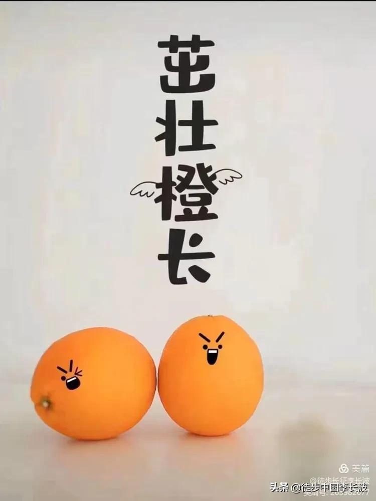 曲靖校园足球比赛,云南2022青少年足球联赛曲靖