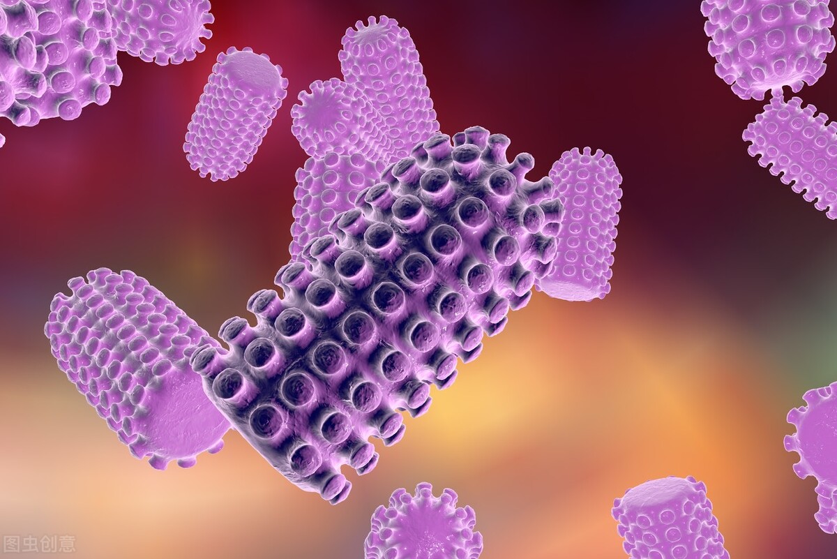 世界狂犬病日中国狂犬病发病情况,世界狂犬病间接传播