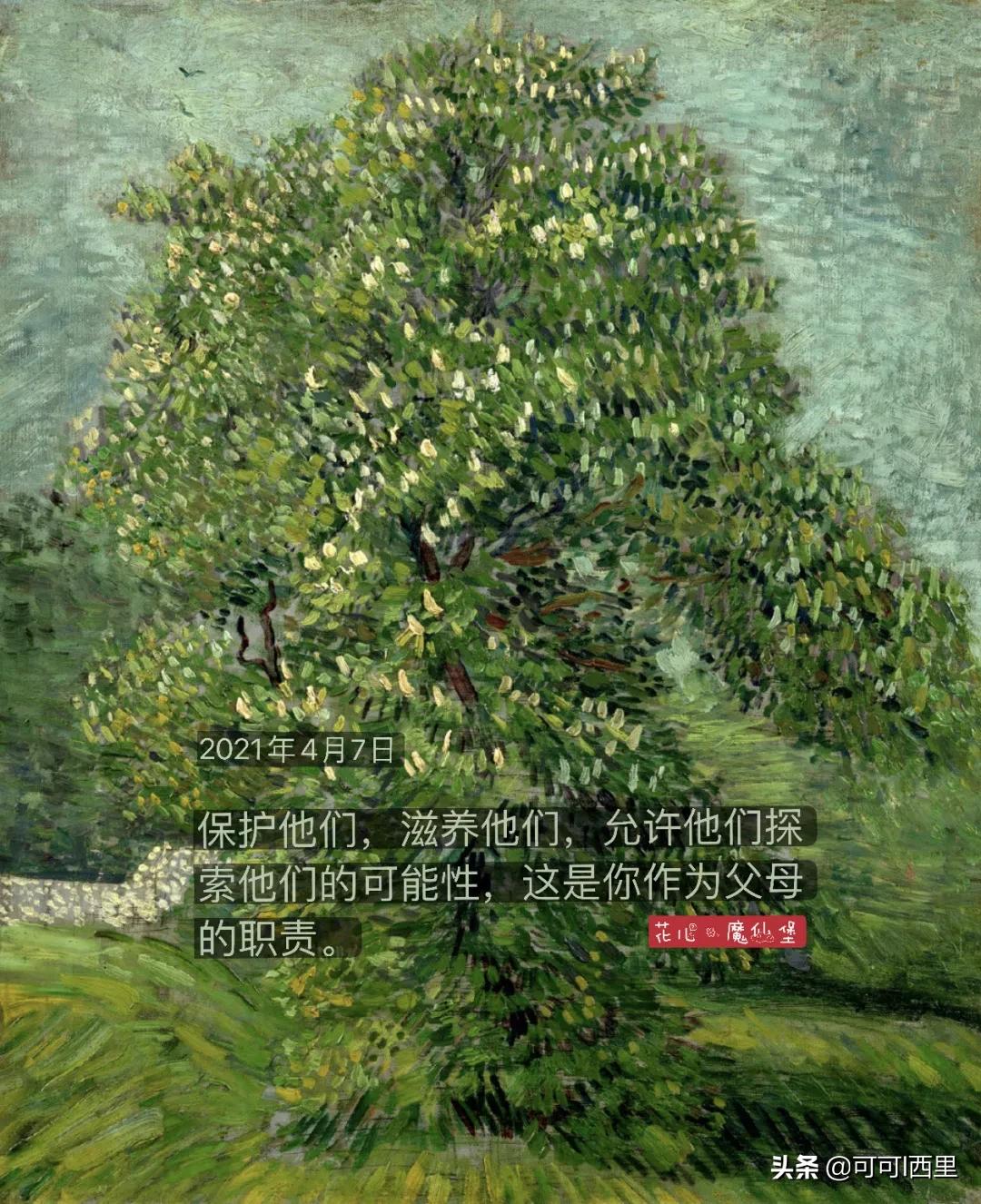 相信孩子静待花开的教育语句,相信每一个孩子的潜力教育随笔