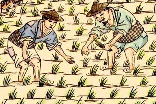 宋代城市化发展的表现,宋朝城市化率排名